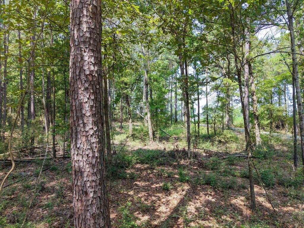 1.25 acres in Texas County - photo 4