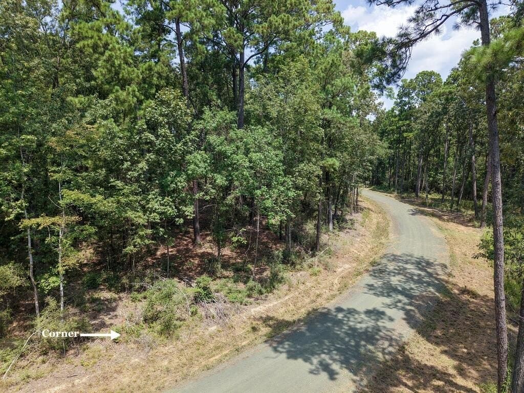 1.25 acres in Texas County - photo 8