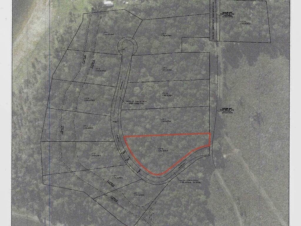 1.25 acres in Texas County - photo 9