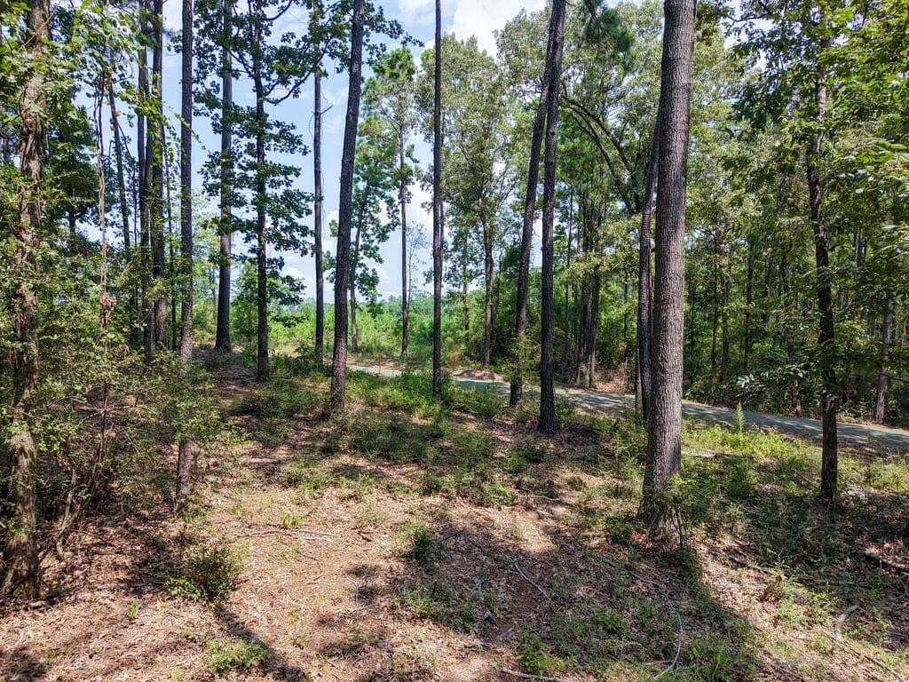 1.25 acres in Texas County - photo 5