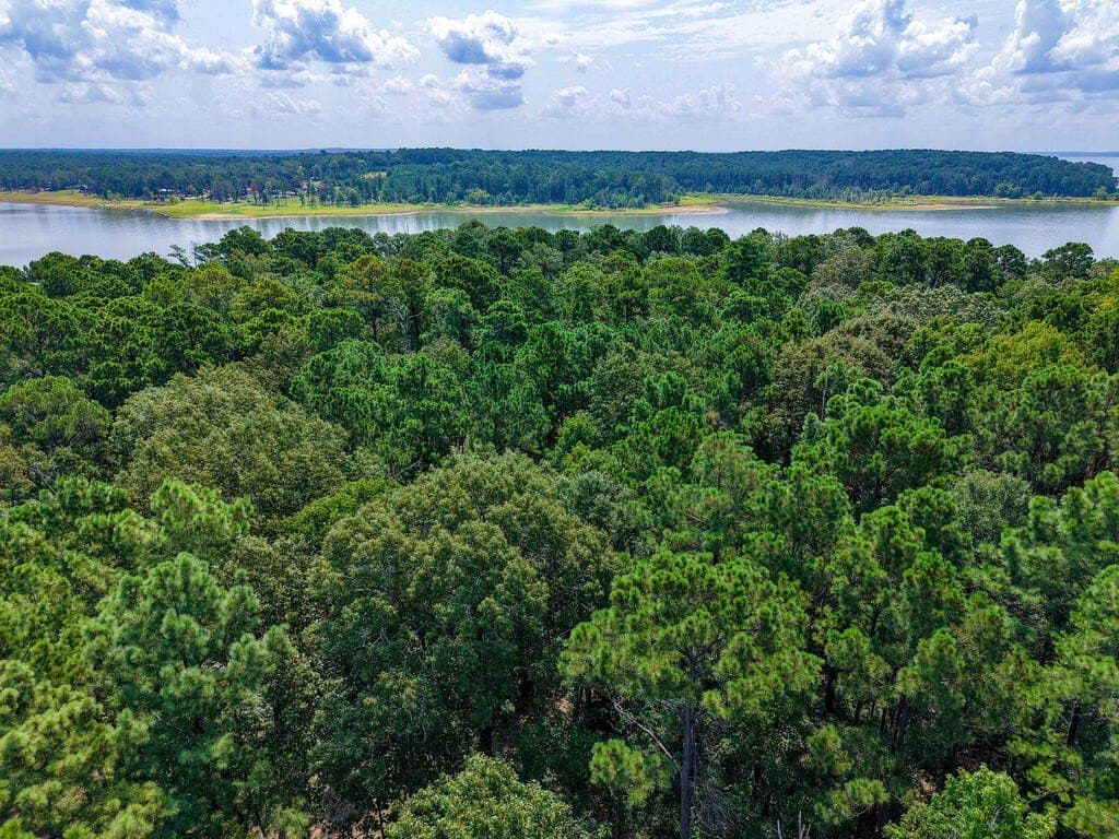 1.25 acres in Texas County - photo 7