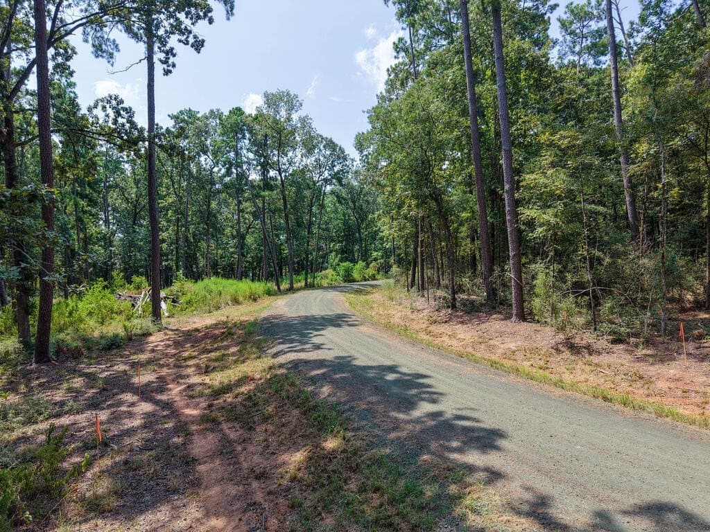 1.25 acres in Texas County - photo 6