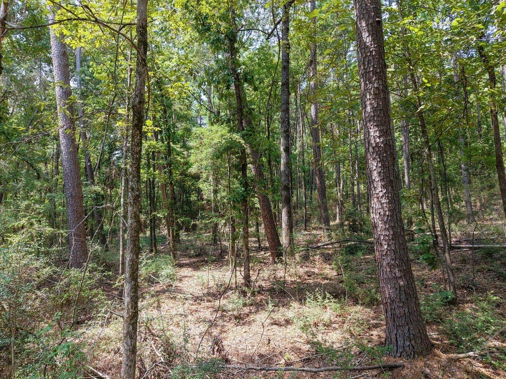 1.25 acres in Texas County - photo 3