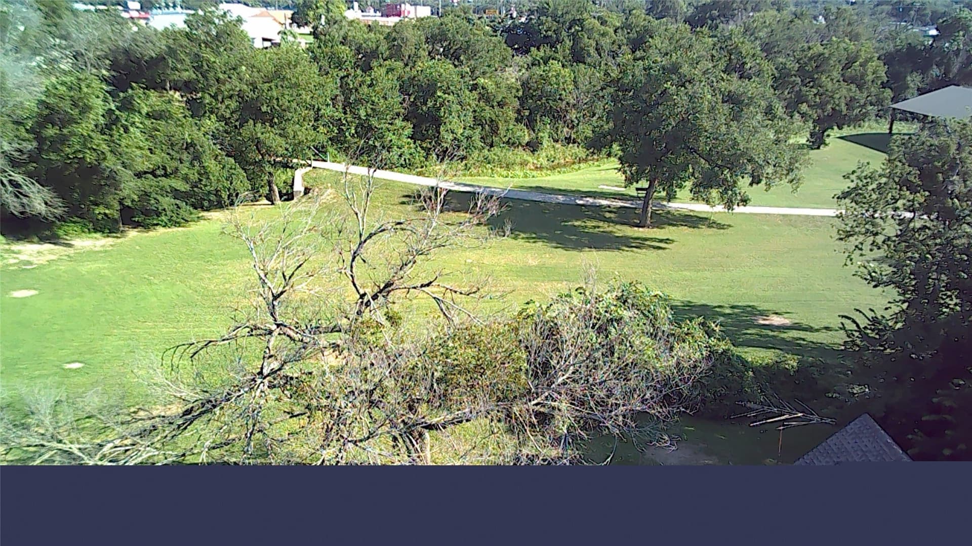 0.82 acres in Parker County - photo 9