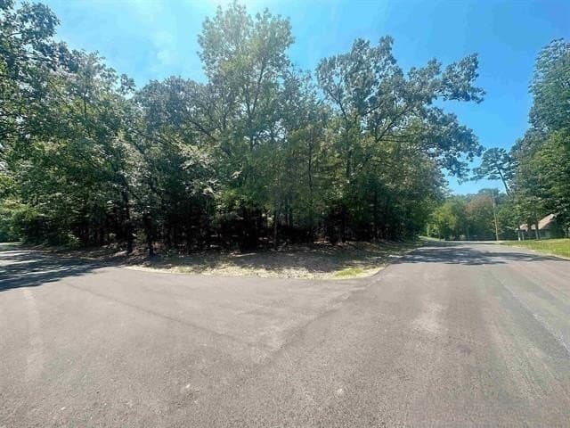 0.23 acres in Franklin (TX) County - photo 14