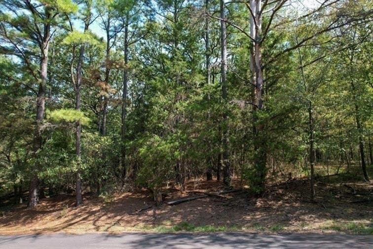 0.23 acres in Franklin (TX) County - photo 7