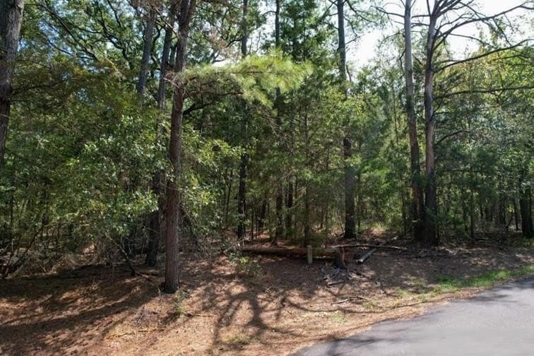 0.23 acres in Franklin (TX) County - photo 6