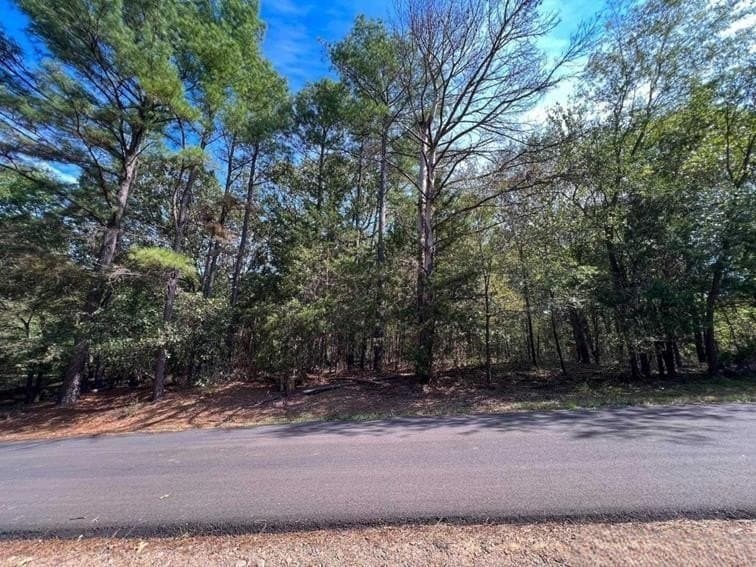 0.23 acres in Franklin (TX) County - photo 8