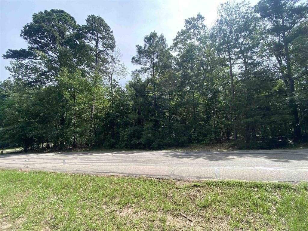 0.23 acres in Franklin (TX) County - photo 9