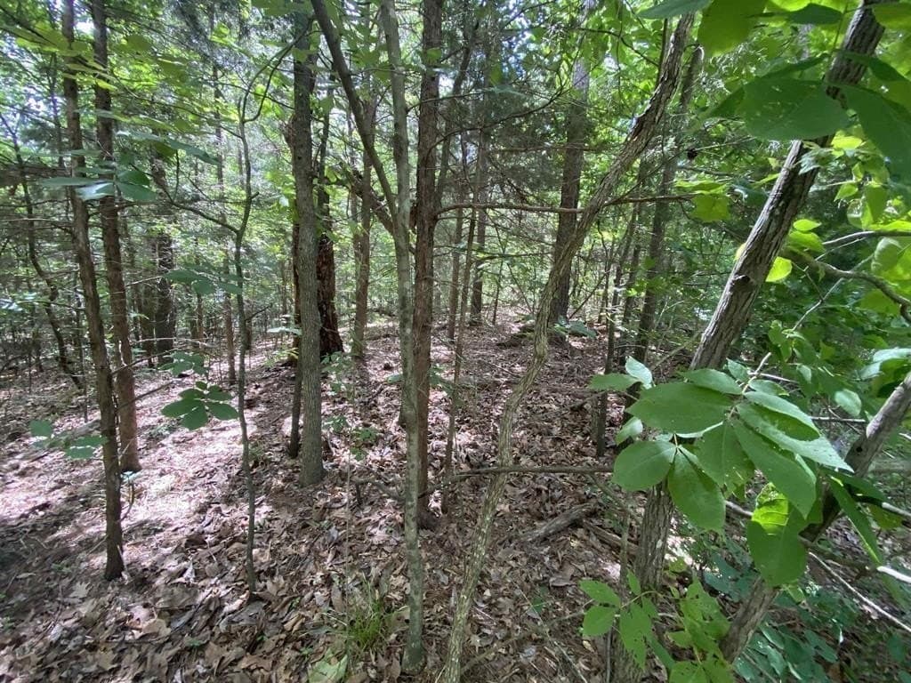 0.23 acres in Franklin (TX) County - photo 2