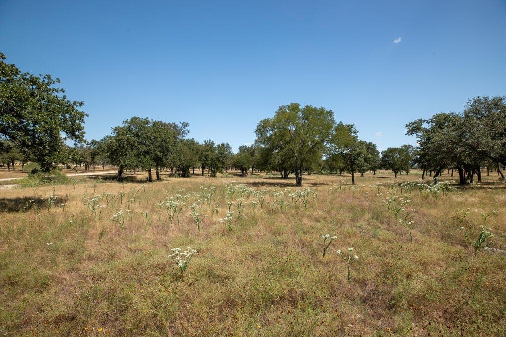 18.5 acres in Gillespie County - photo 7