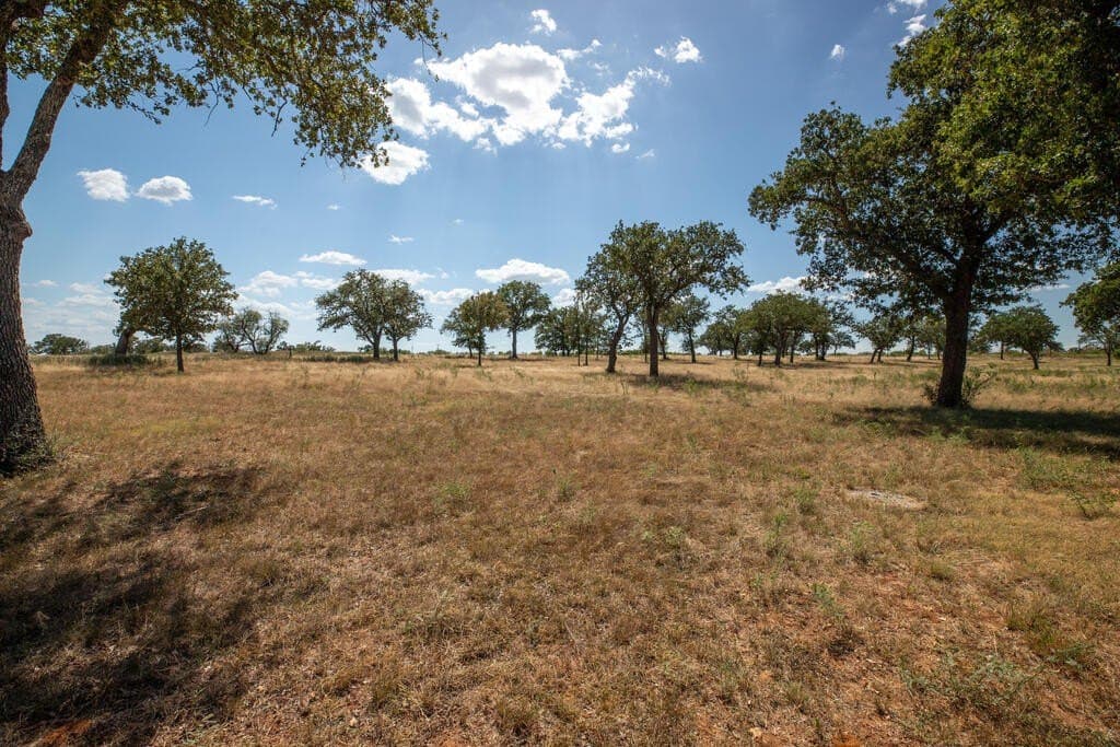 18.5 acres in Gillespie County - photo 11