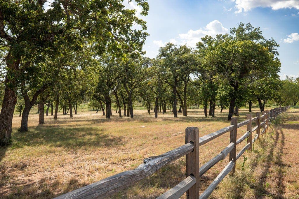 18.5 acres in Gillespie County - photo 3