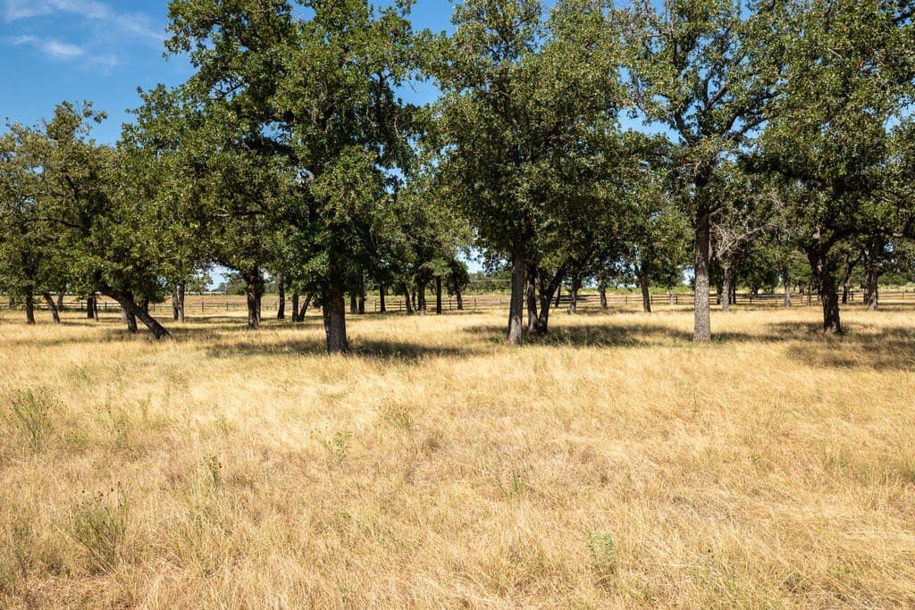 18.5 acres in Gillespie County - photo 12