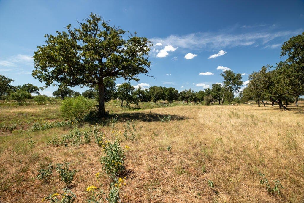 18.5 acres in Gillespie County - photo 5