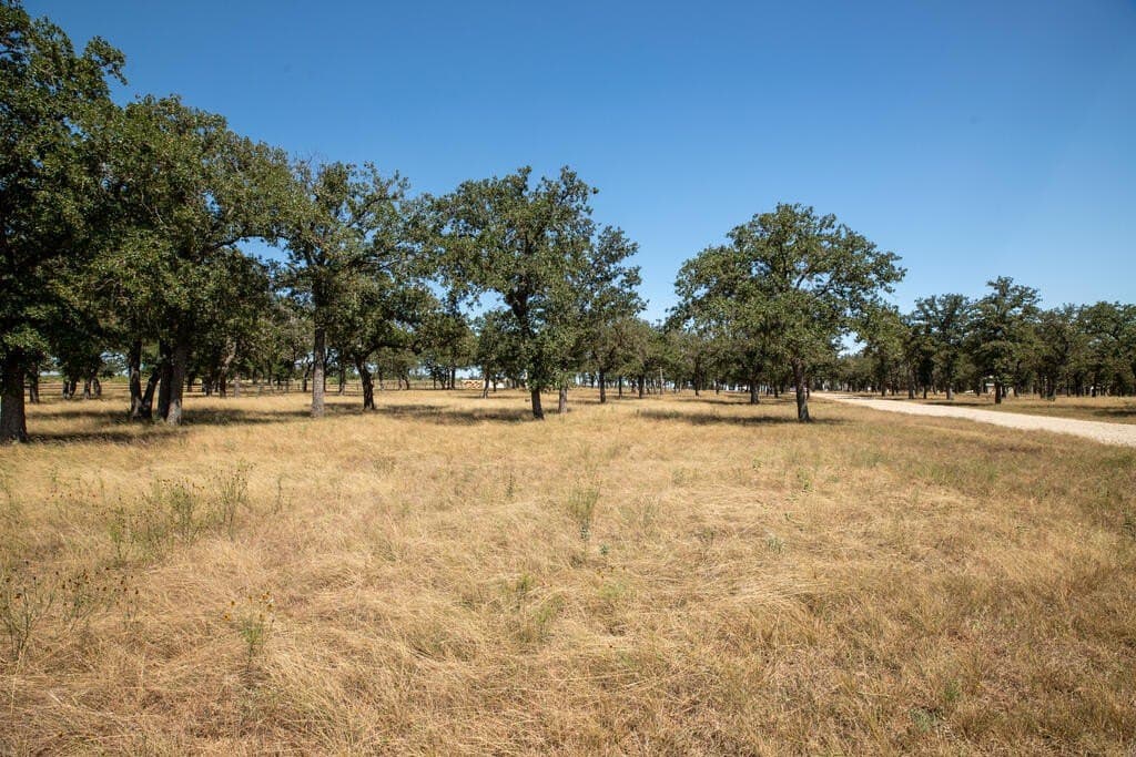 18.5 acres in Gillespie County - photo 6