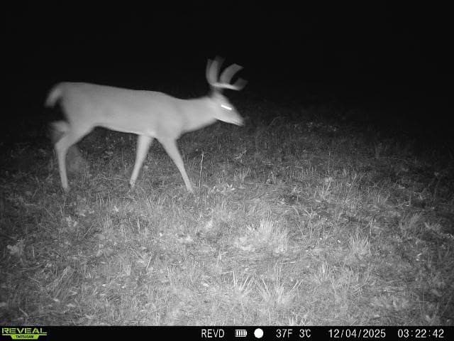 48.47 acres in Red River (TX) County - photo 20