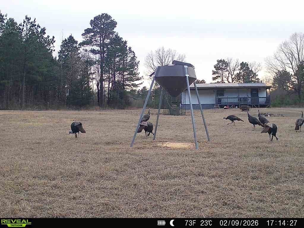 48.47 acres in Red River (TX) County gallery image 3