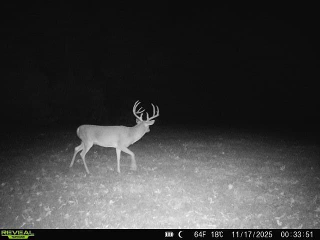 48.47 acres in Red River (TX) County - photo 14