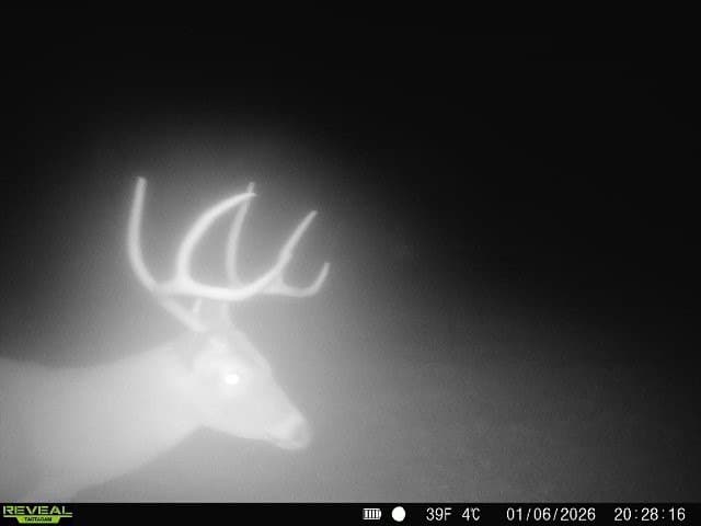 48.47 acres in Red River (TX) County - photo 18