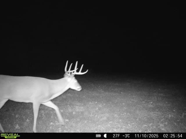 48.47 acres in Red River (TX) County - photo 12
