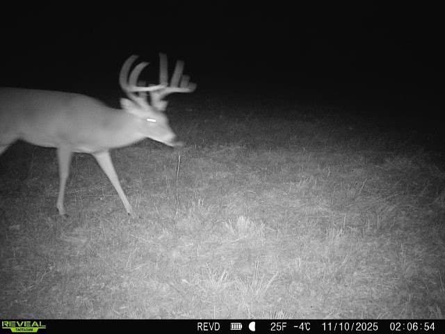 48.47 acres in Red River (TX) County - photo 19