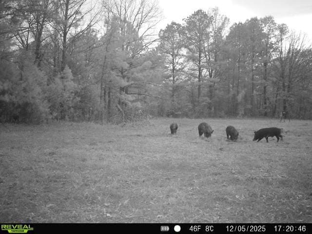 48.47 acres in Red River (TX) County - photo 13