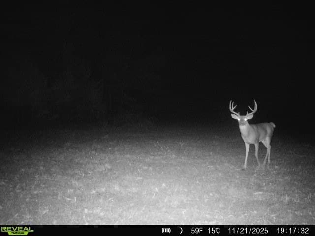 48.47 acres in Red River (TX) County - photo 15
