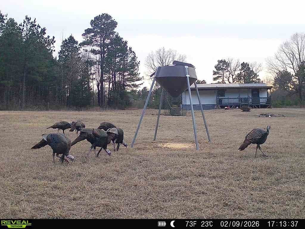48.47 acres in Red River (TX) County gallery image 2