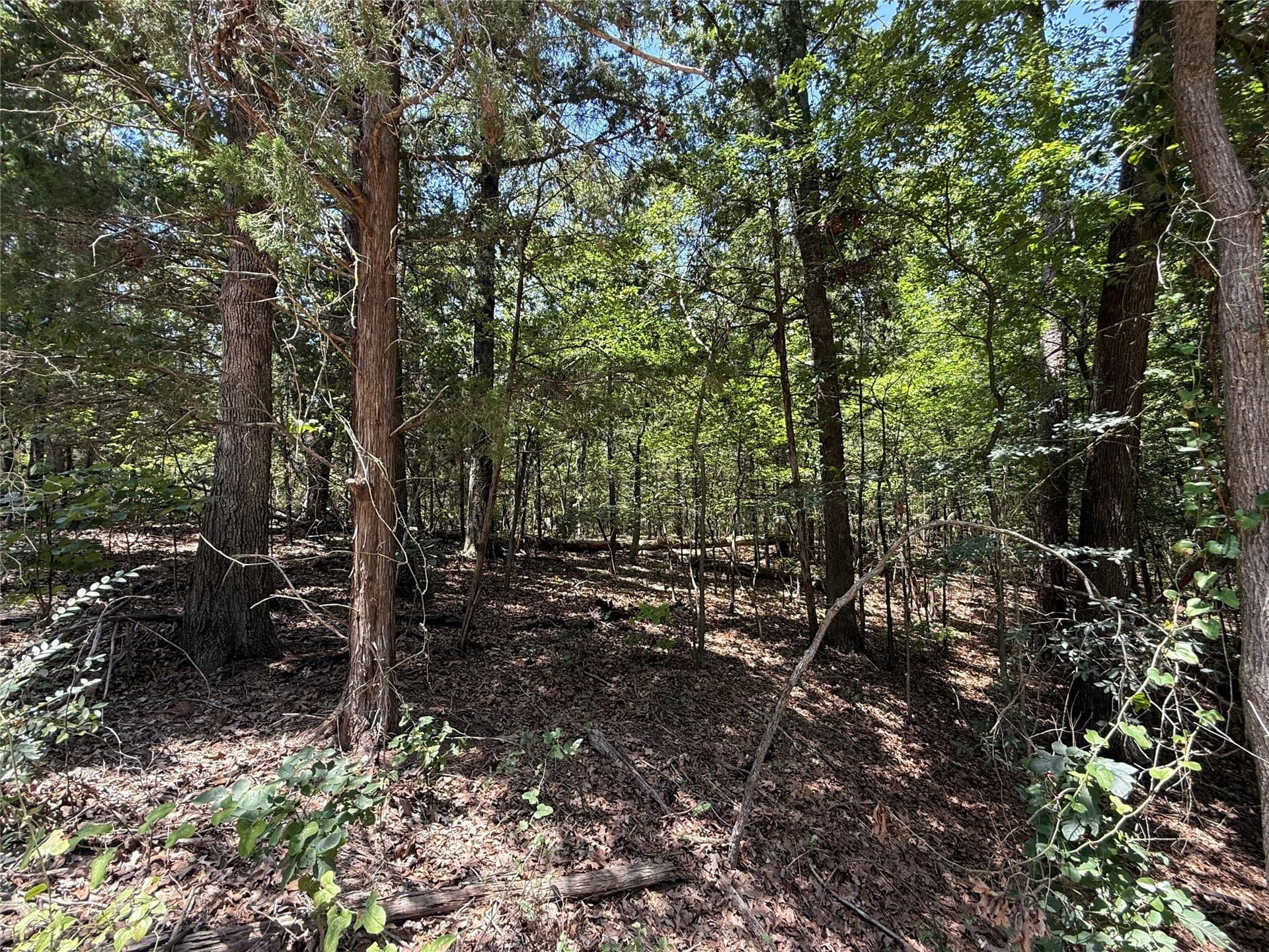 0.35 acres in Franklin (TX) County gallery image 2