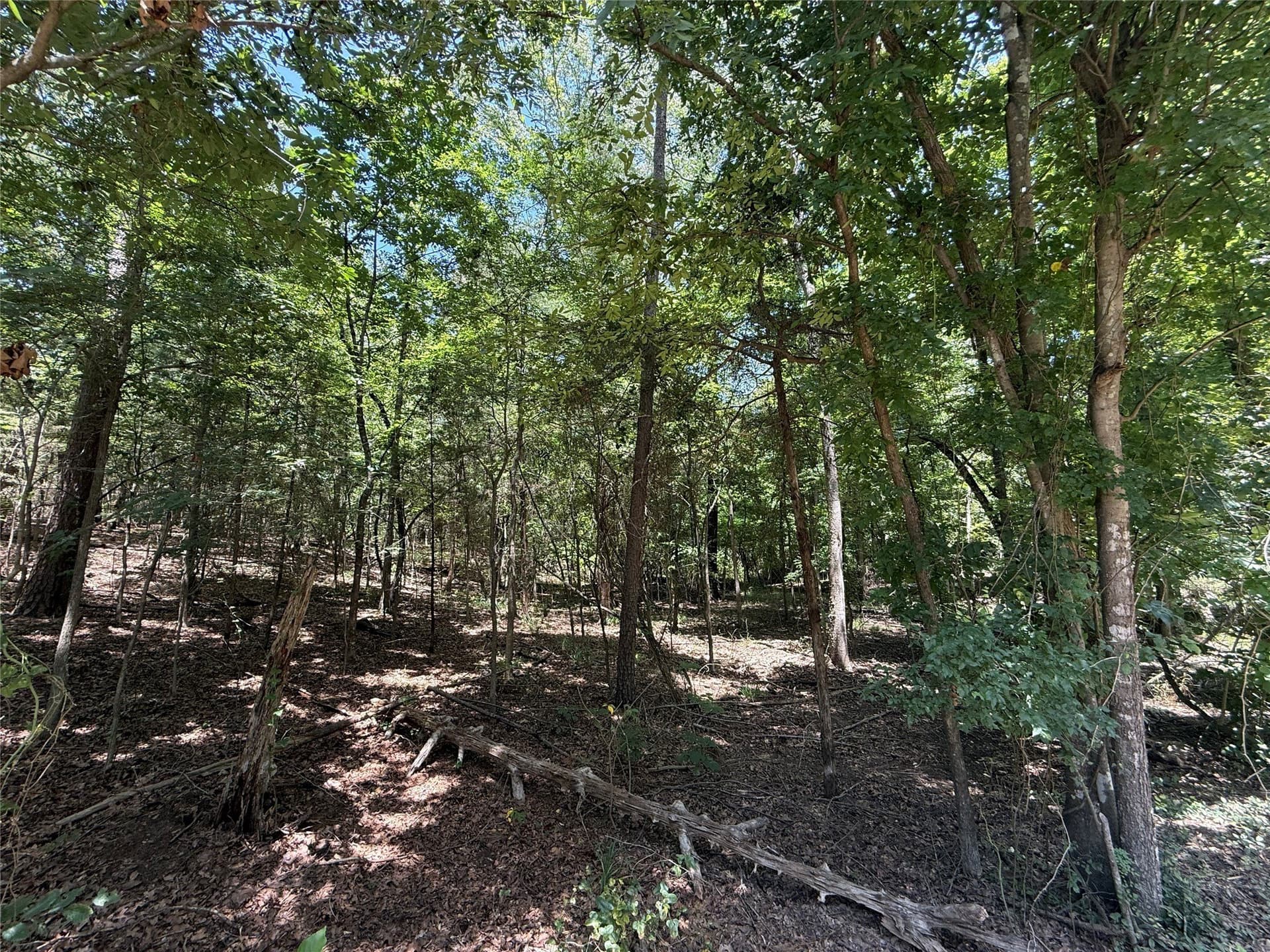 0.35 acres in Franklin (TX) County gallery image 3