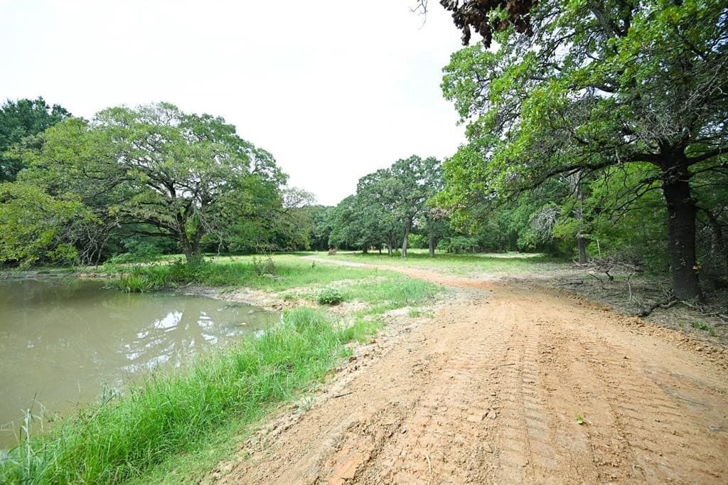 5.7 acres in Fannin County gallery image 4