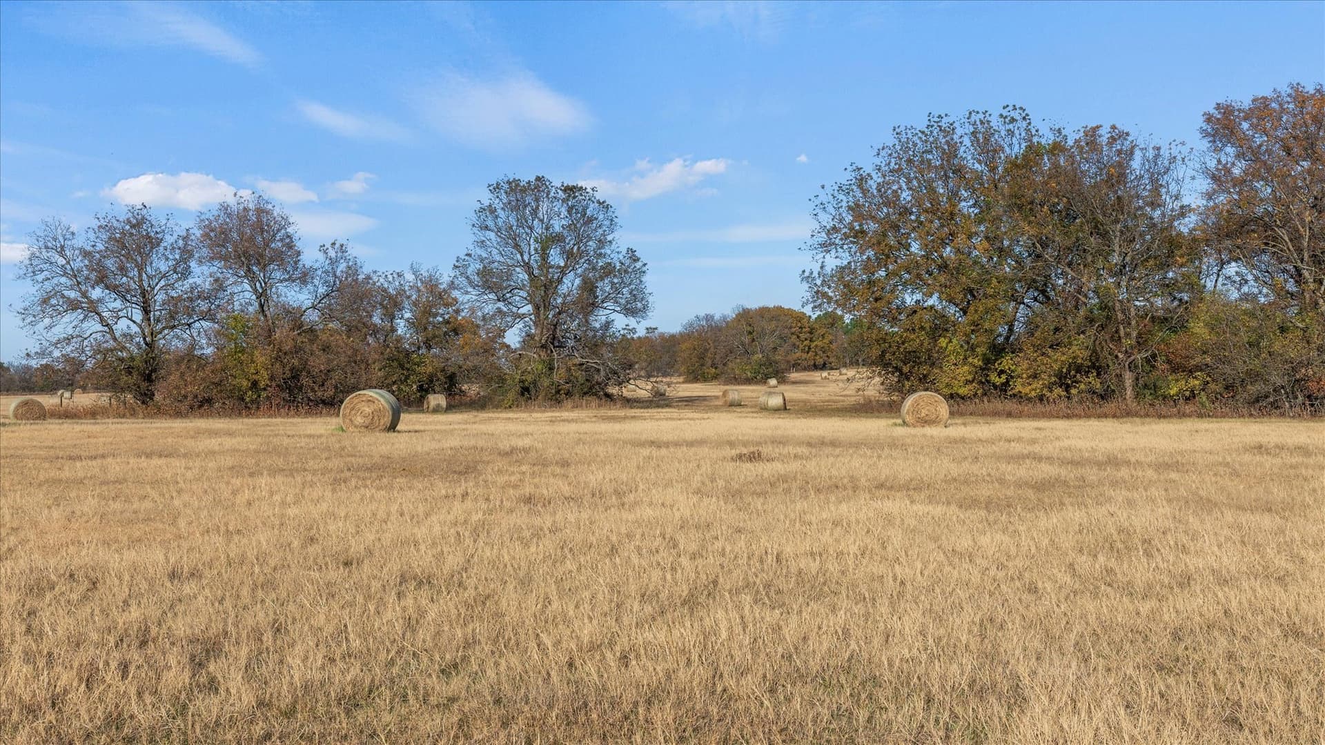 40.94 acres in Grayson County featured view