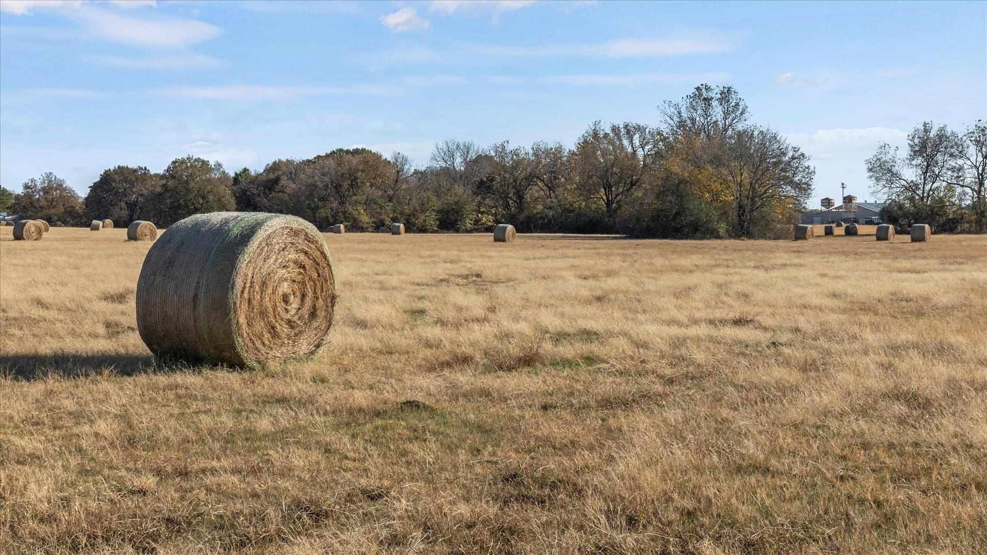 40.94 acres in Grayson County - photo 34