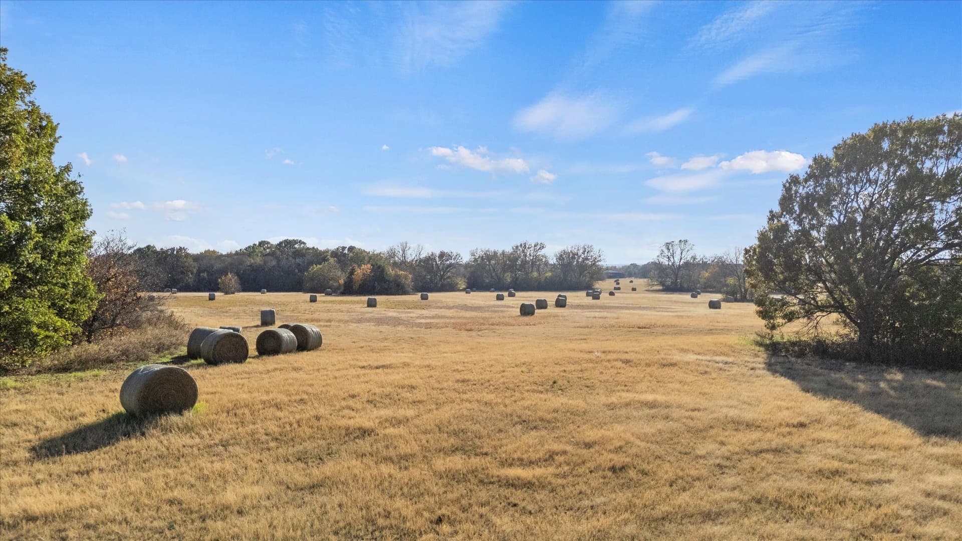 40.94 acres in Grayson County - photo 25