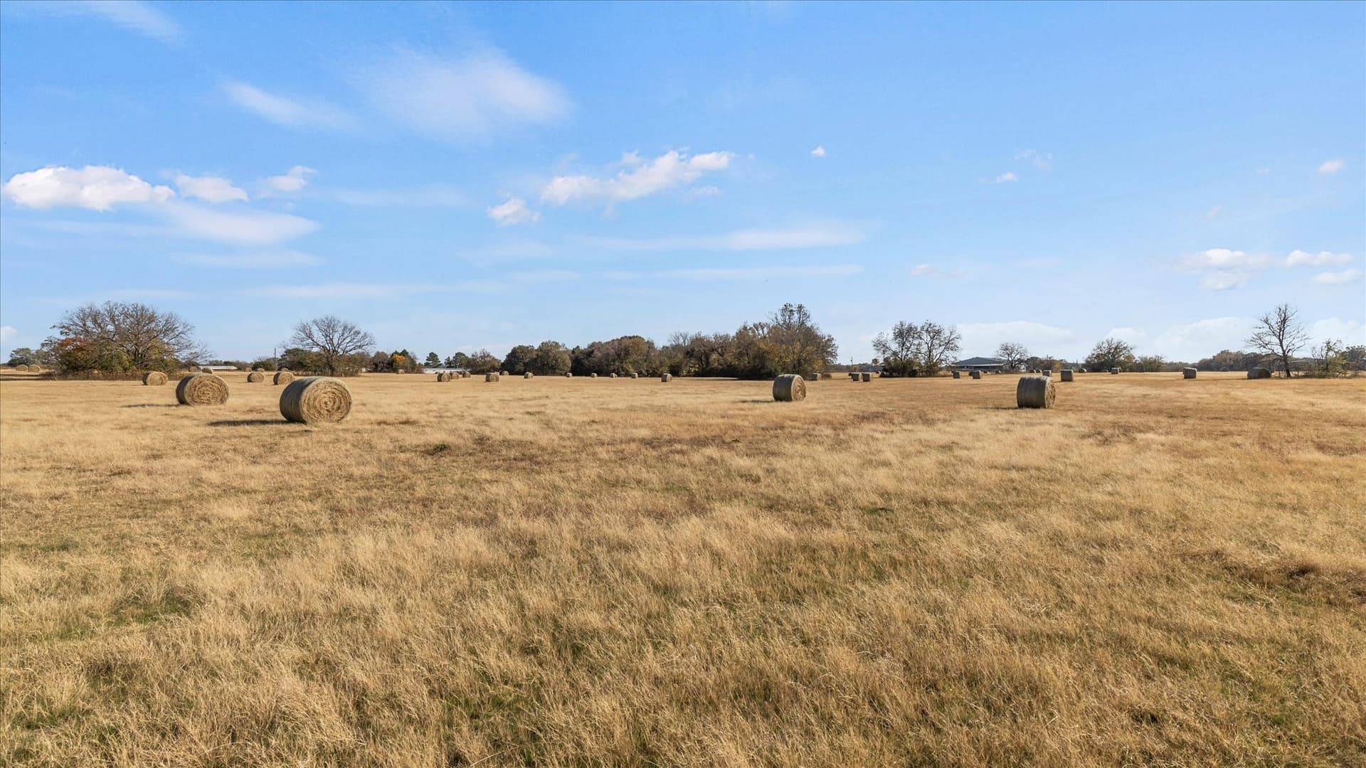 40.94 acres in Grayson County - photo 33