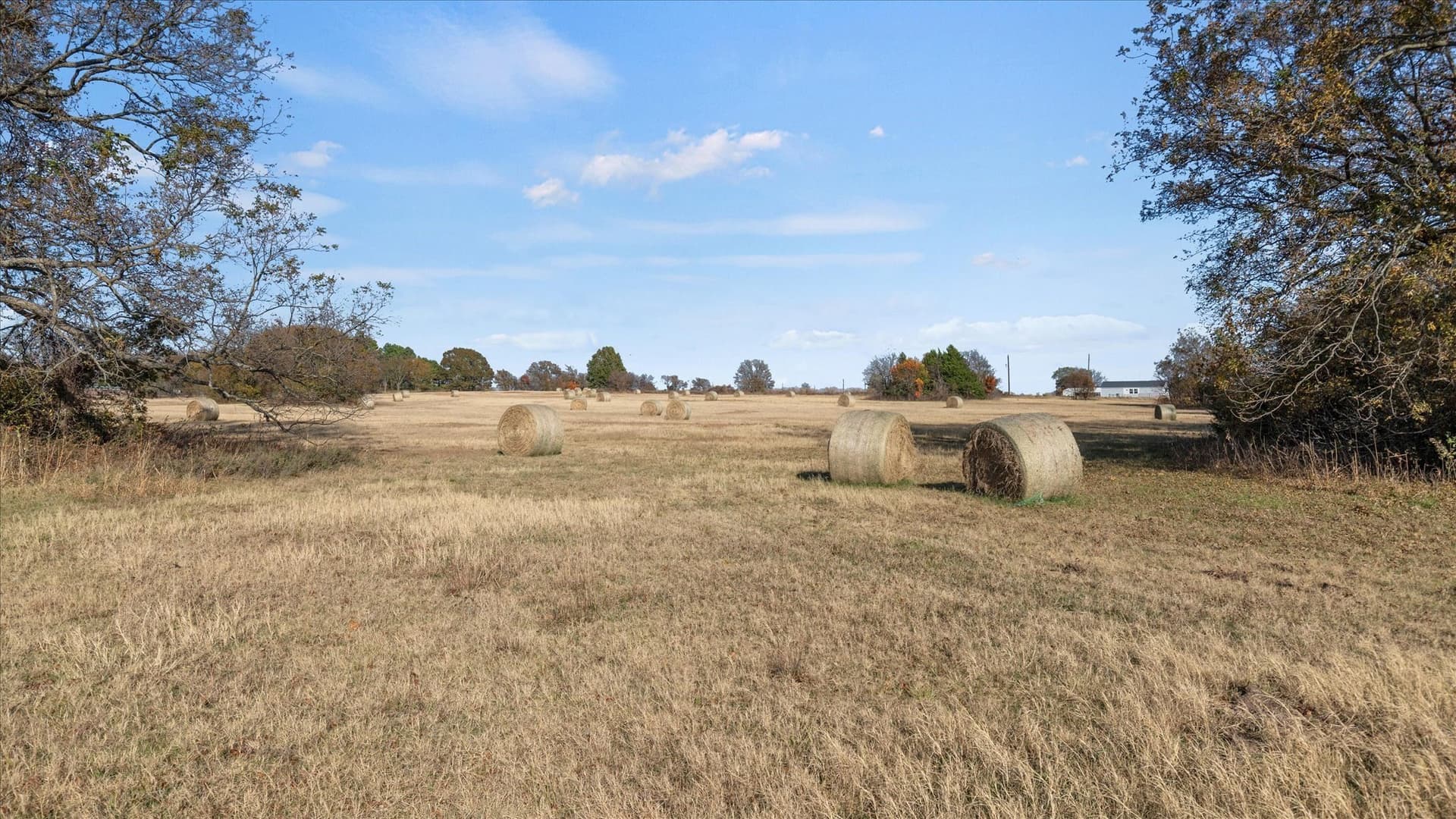 40.94 acres in Grayson County - photo 39