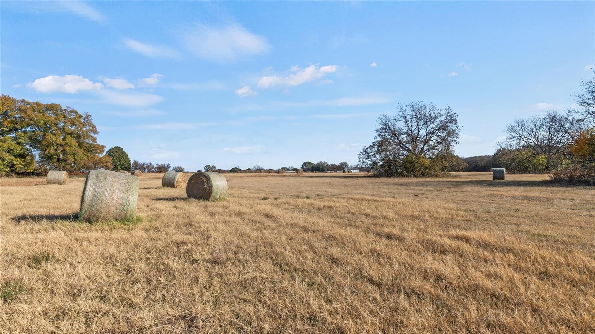 40.94 acres in Grayson County - photo 32