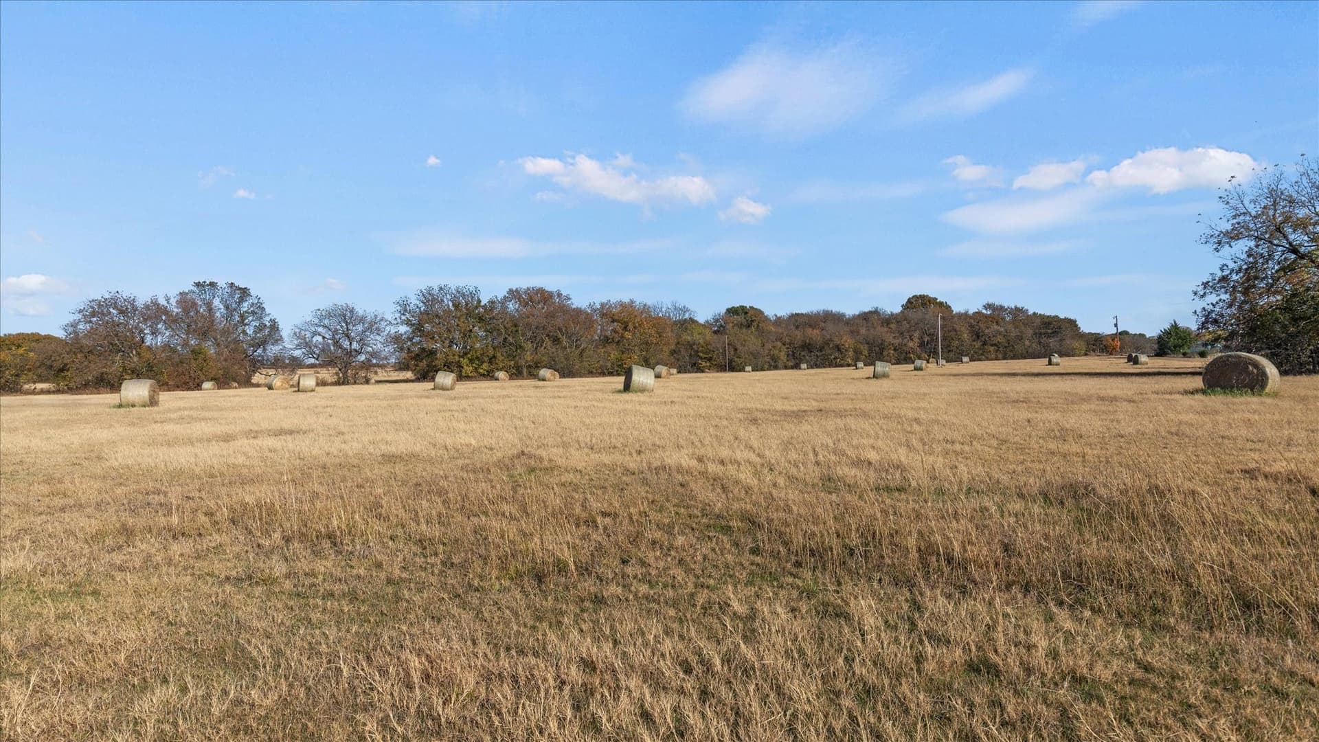 40.94 acres in Grayson County - photo 37