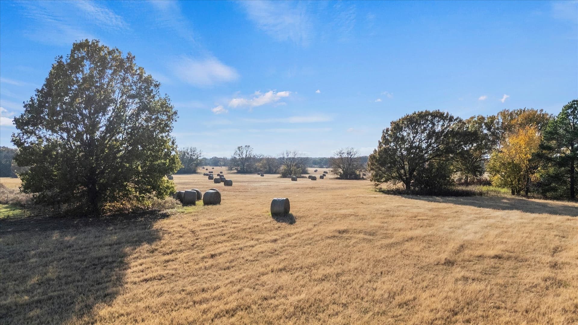 40.94 acres in Grayson County - photo 24