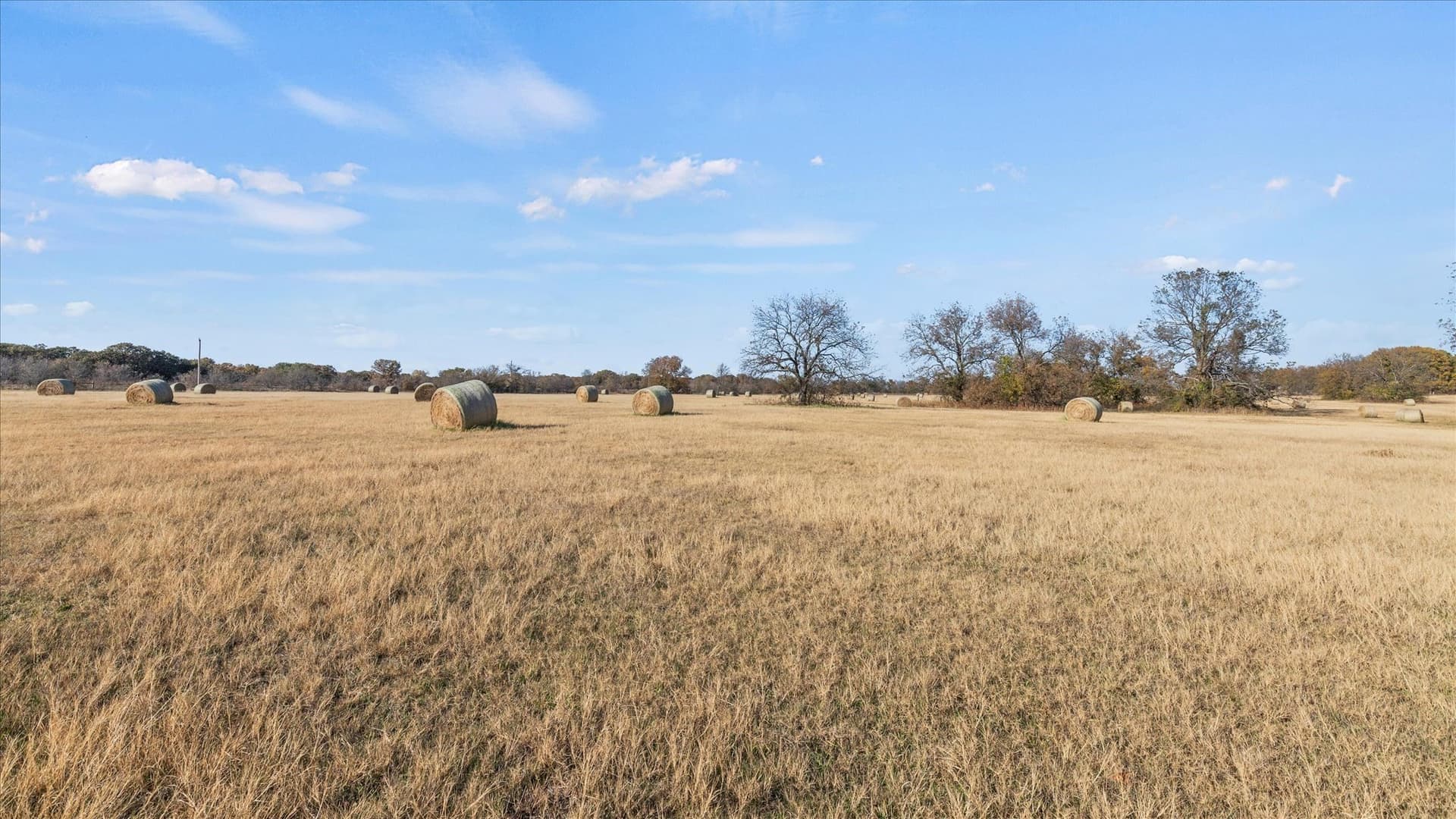 40.94 acres in Grayson County - photo 38