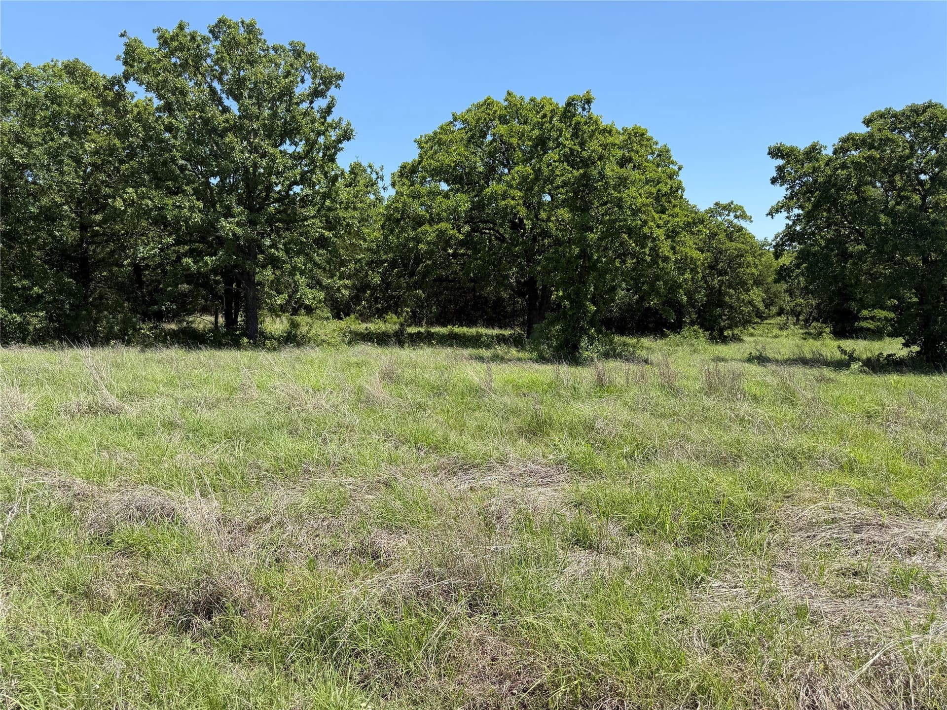 40.85 acres in Montague County - photo 23