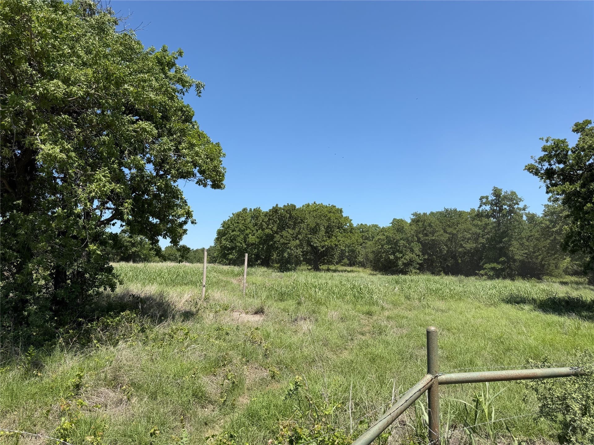 40.85 acres in Montague County - photo 25