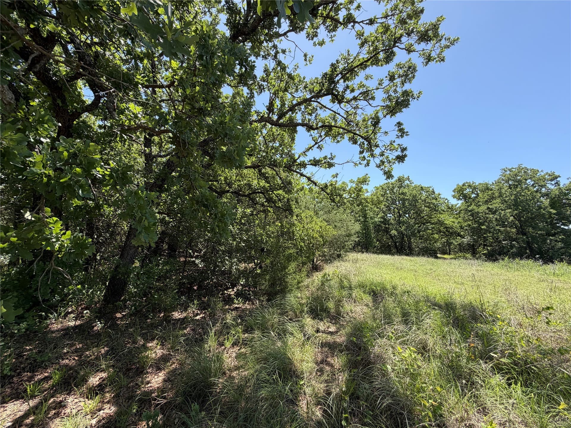 40.85 acres in Montague County - photo 20