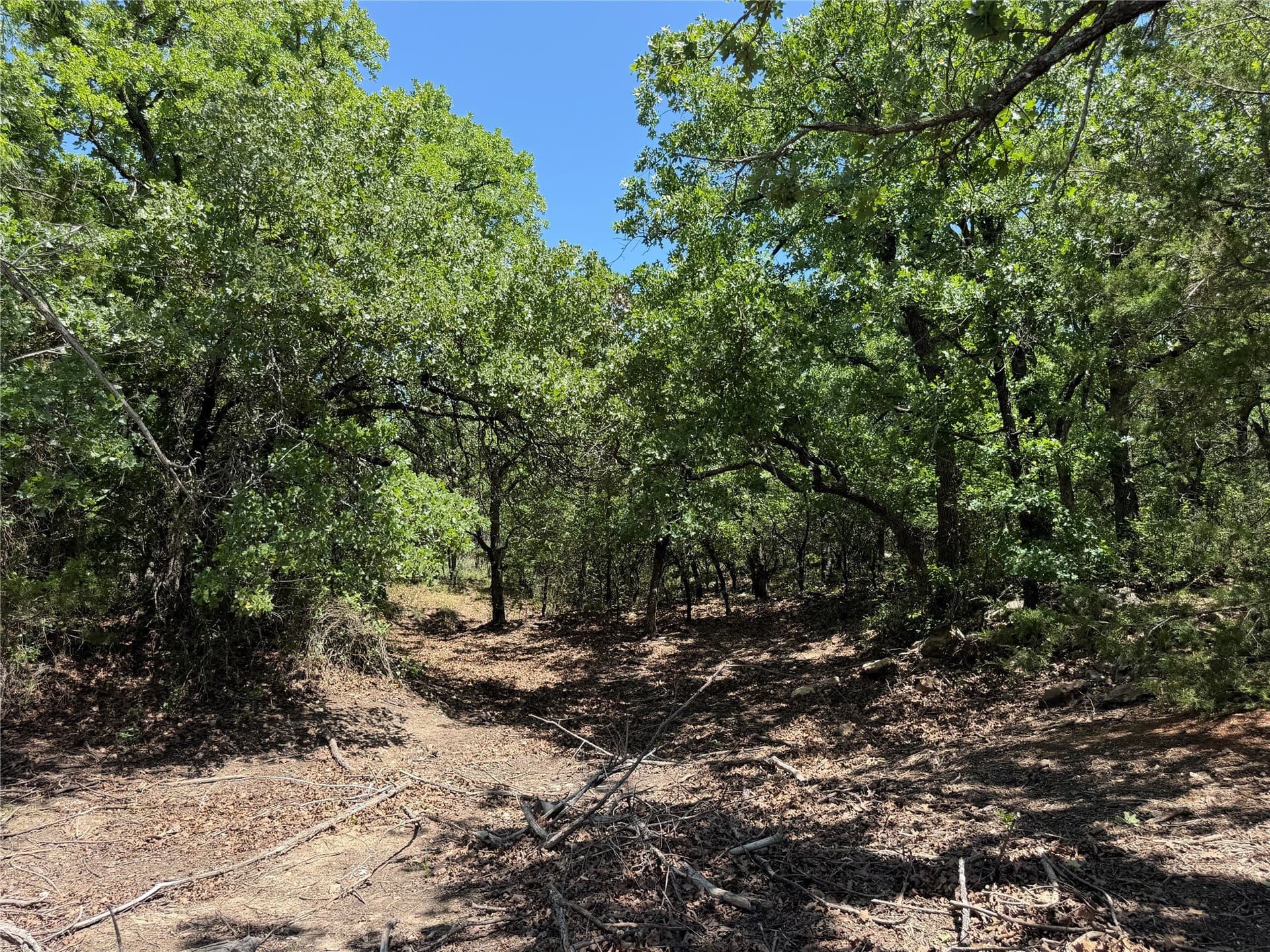 40.85 acres in Montague County - photo 17