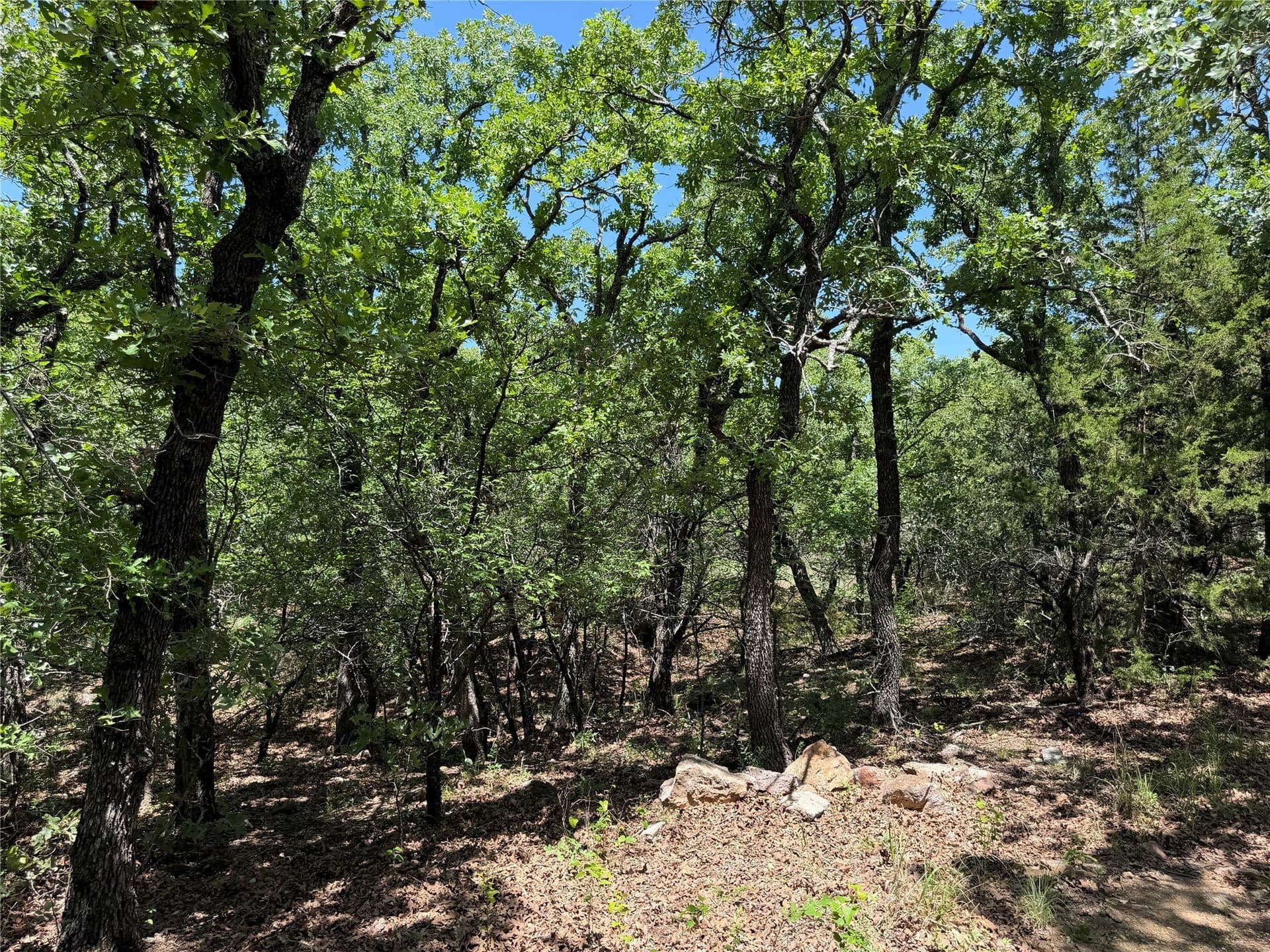 40.85 acres in Montague County - photo 15