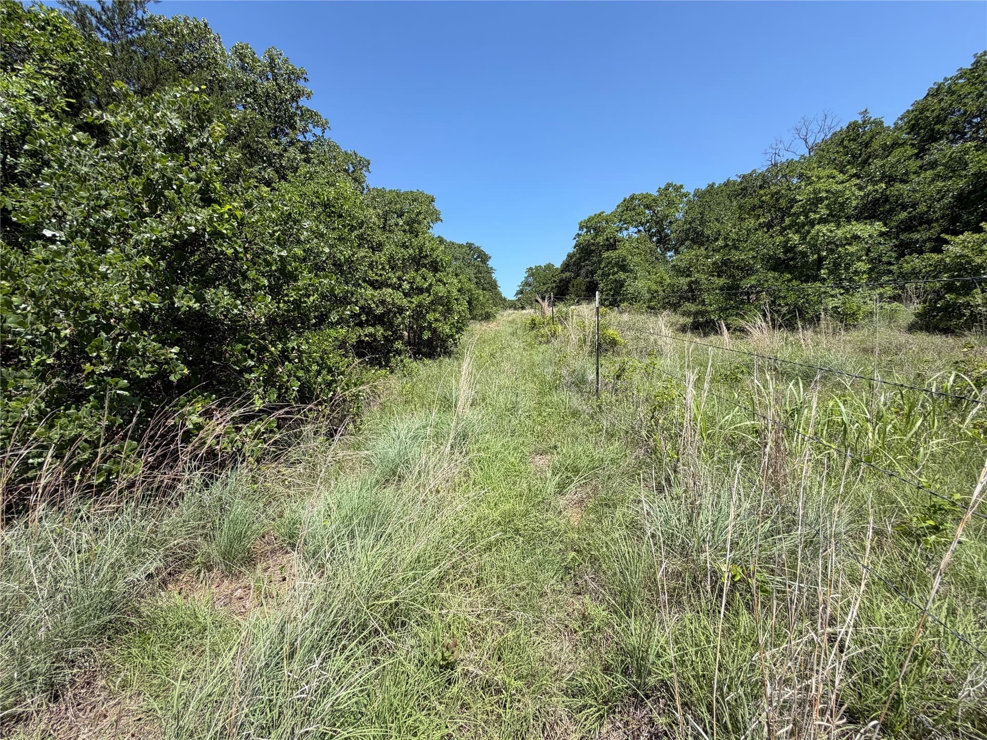 40.85 acres in Montague County - photo 2