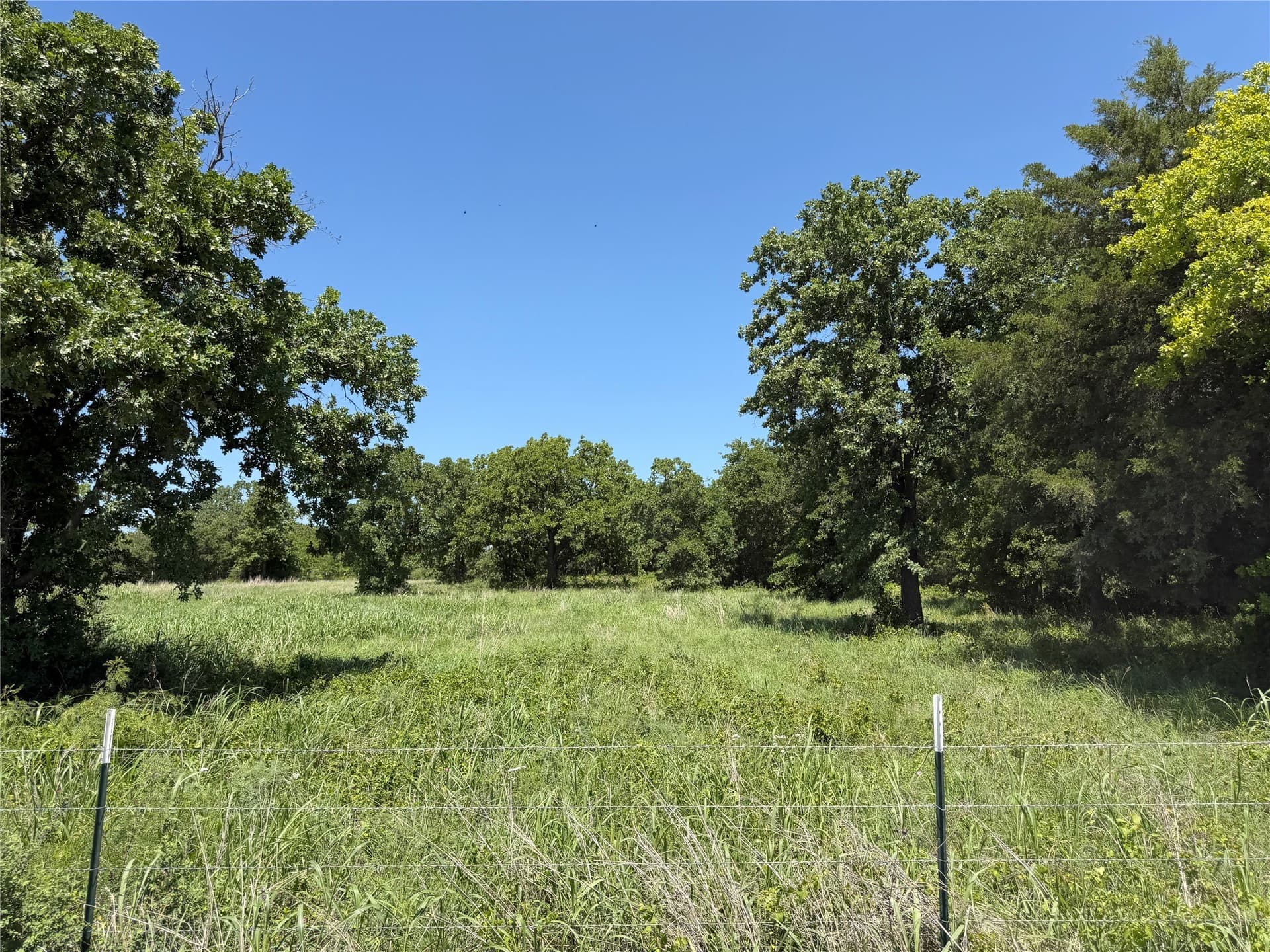 40.85 acres in Montague County - photo 27