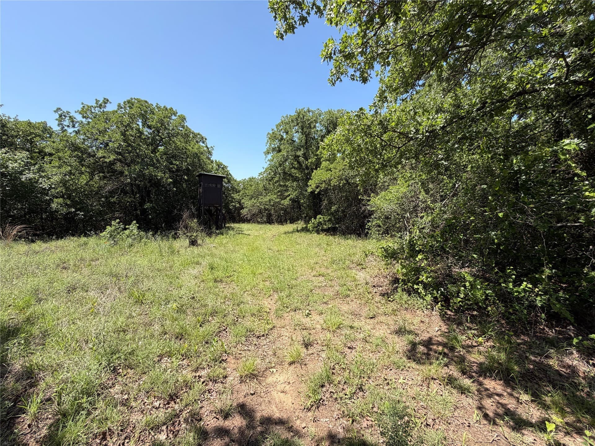 40.85 acres in Montague County - photo 7