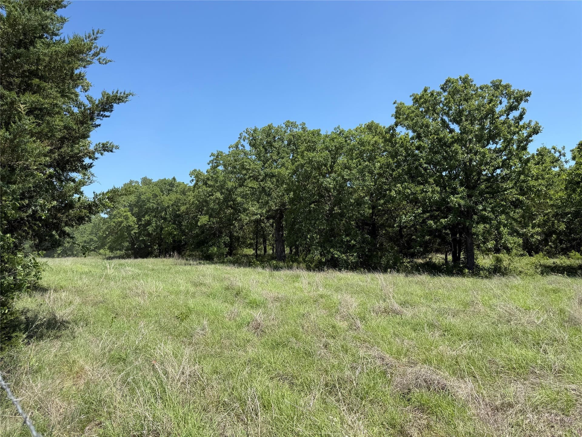 40.85 acres in Montague County - photo 24